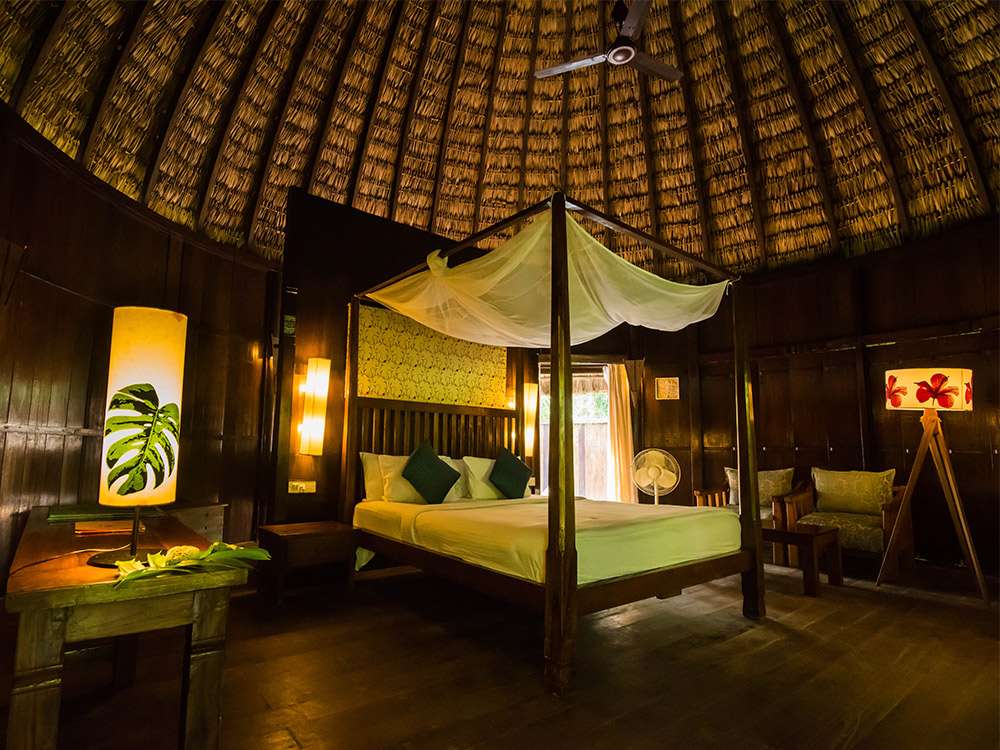 Barefoot At Havelock