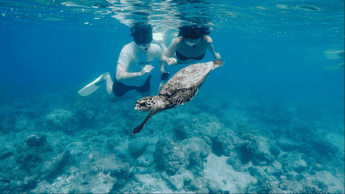 Join PADI Open Water Course