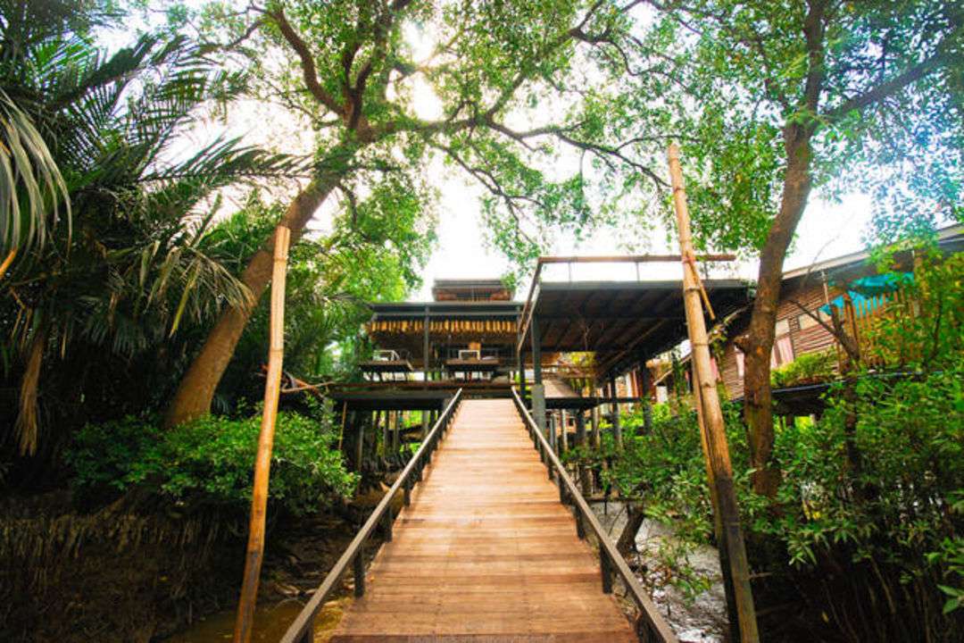  Eco-home Treehouse by the River in Samut Prakan, Thailand