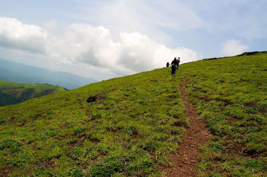 Trek to Kemmangundi Peak