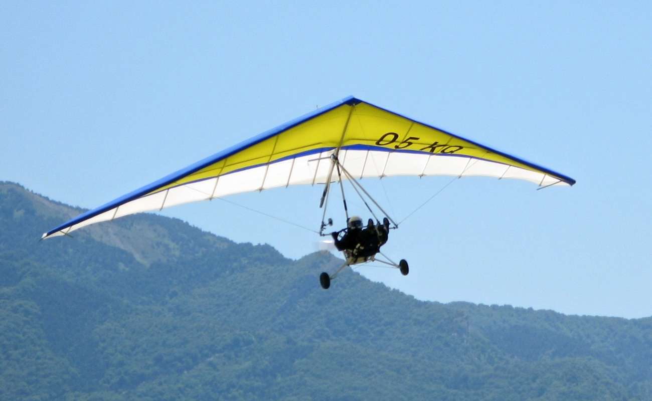 Micro Light Flying