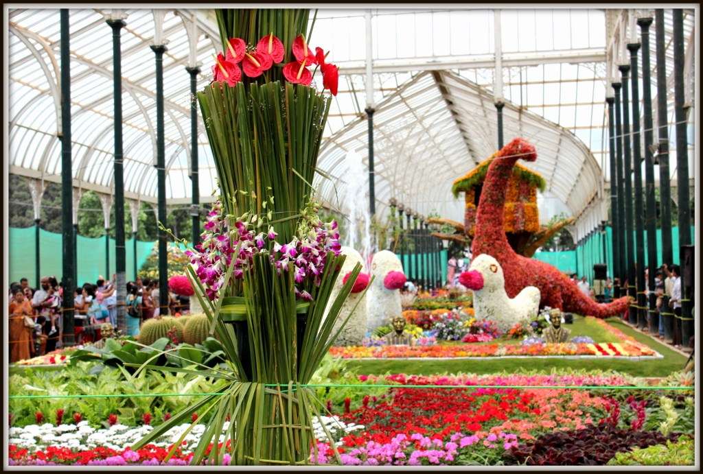 Let Your Love Blossom at Lalbagh Botanical Garden