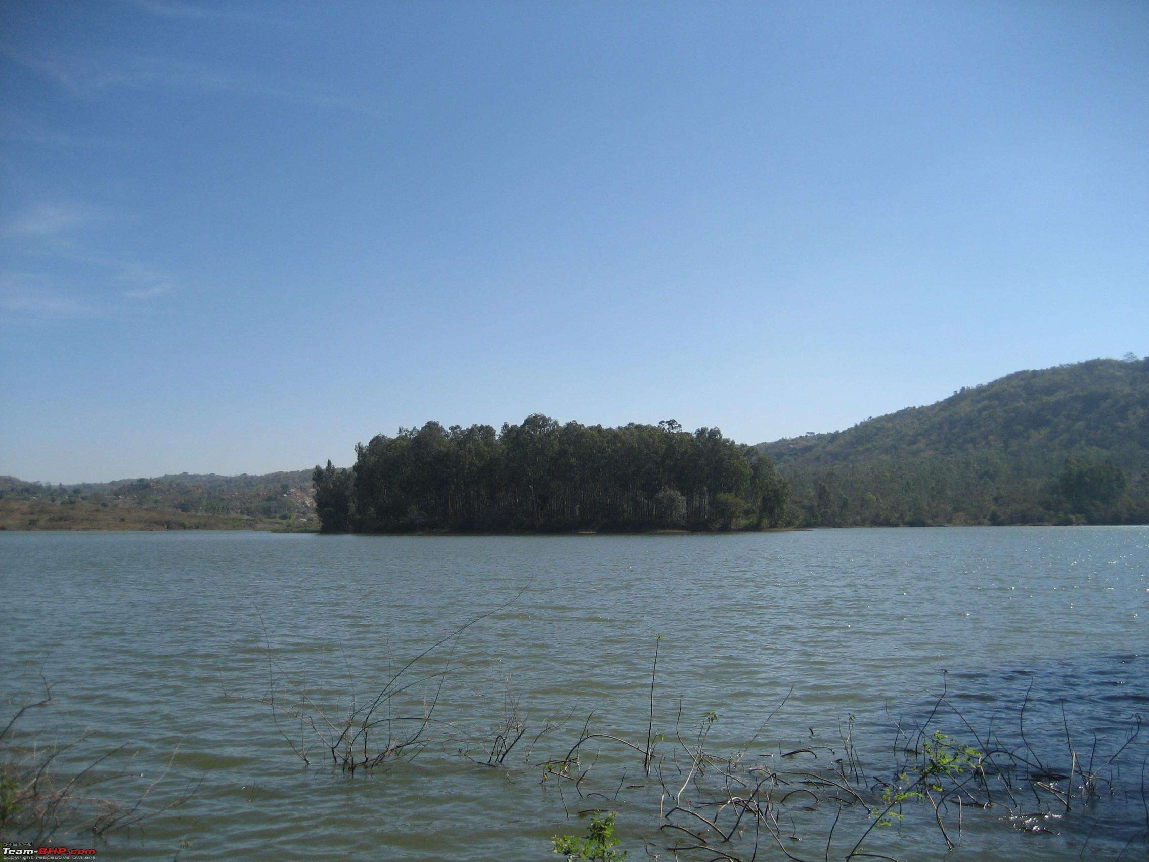 Capture Love at Thattekere Lake