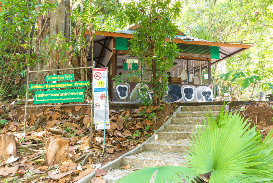 Gibbon Rehabilitation Project