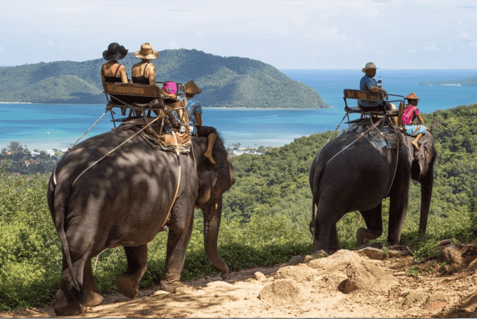 Seaview Elephant Camp