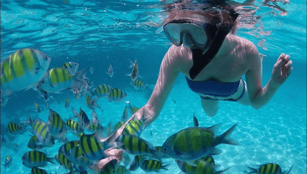 Experience Snorkeling