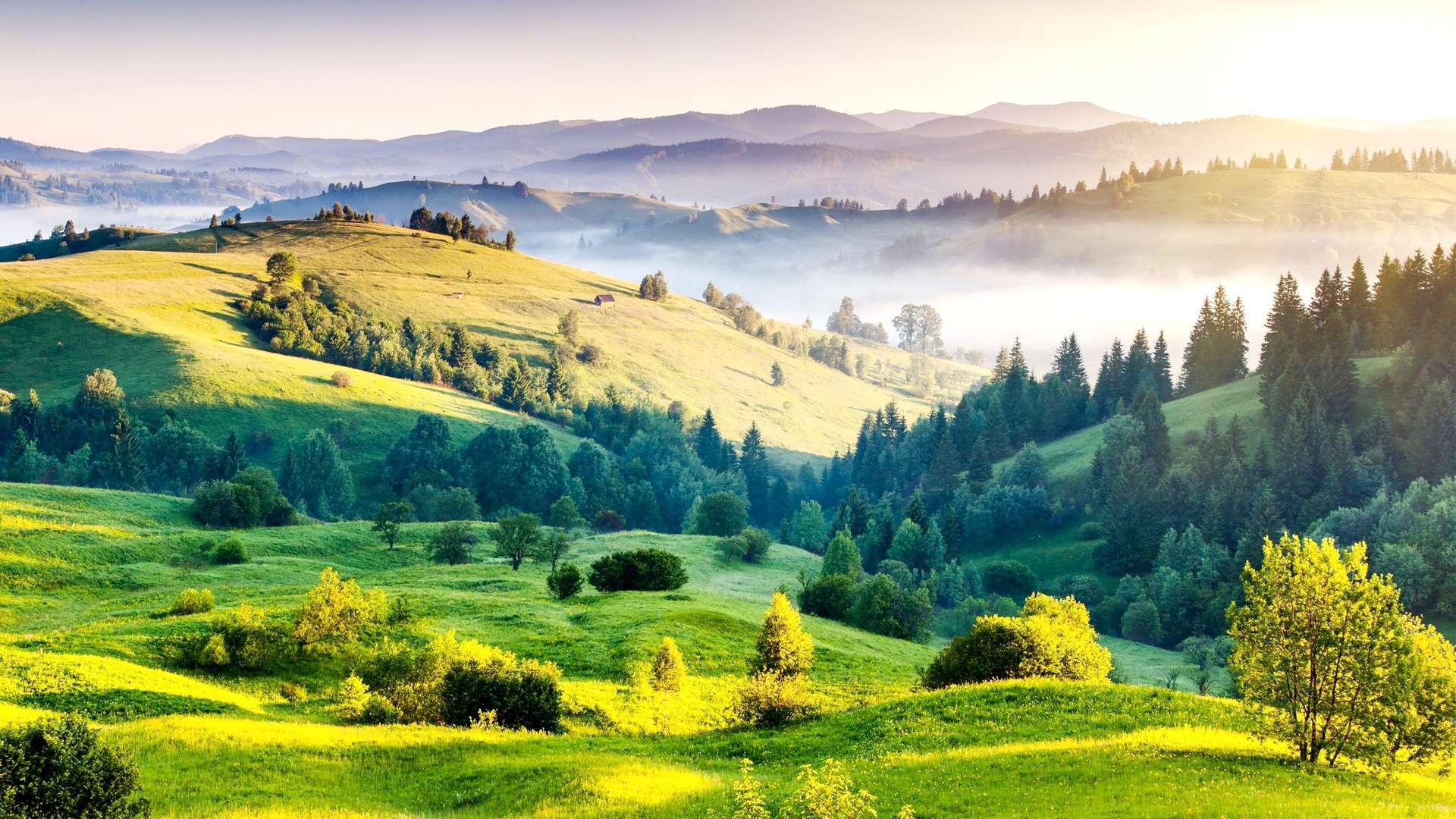 Bangalore to Kodaikanal - A Detailed Travel Guide