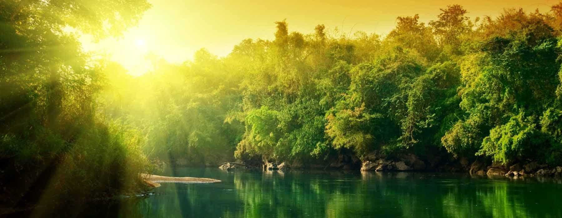 Bangalore to Coorg: Distance, Route Map, Do's & Dont's {{year}}