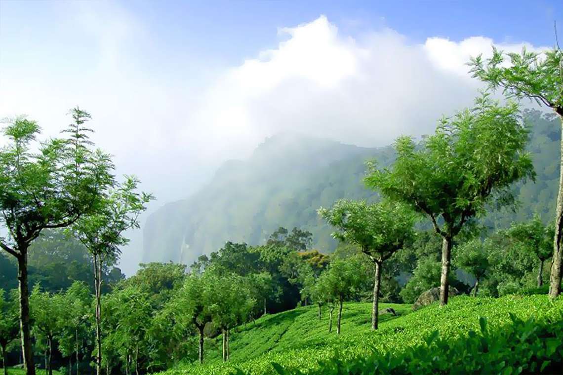 Bangalore to Ooty by Air