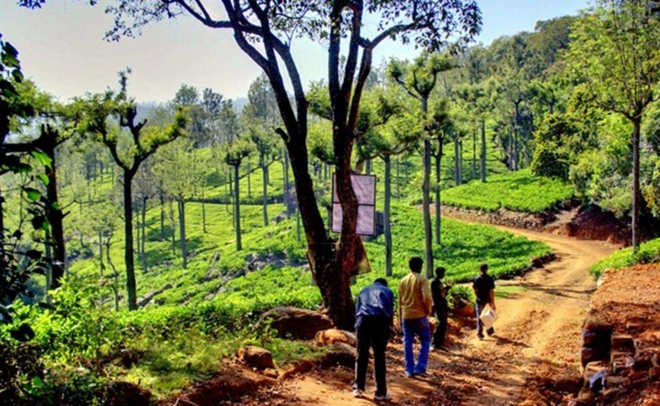 Mukurthi National Park