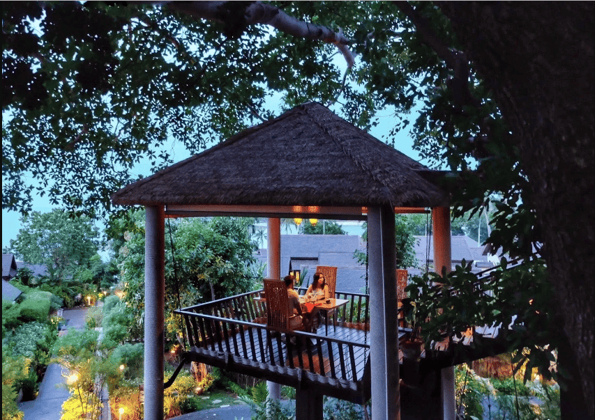 Tree Tops Sky Dining Anantara Lawana Resorts