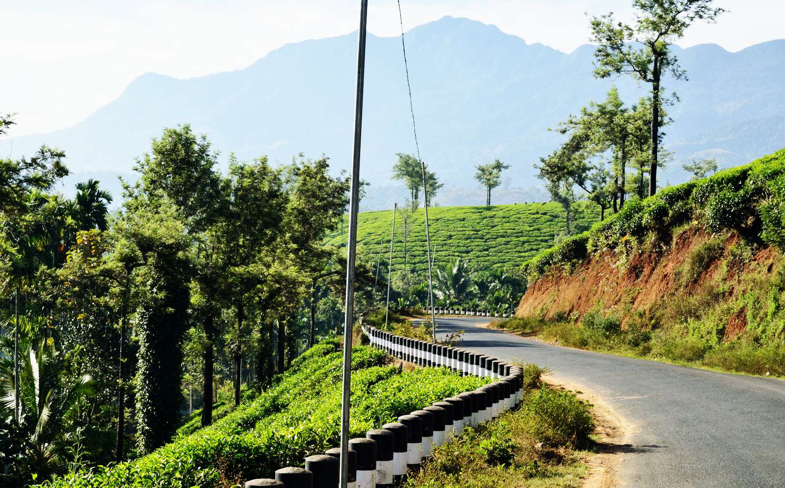 Bangalore to Wayanad by Bus