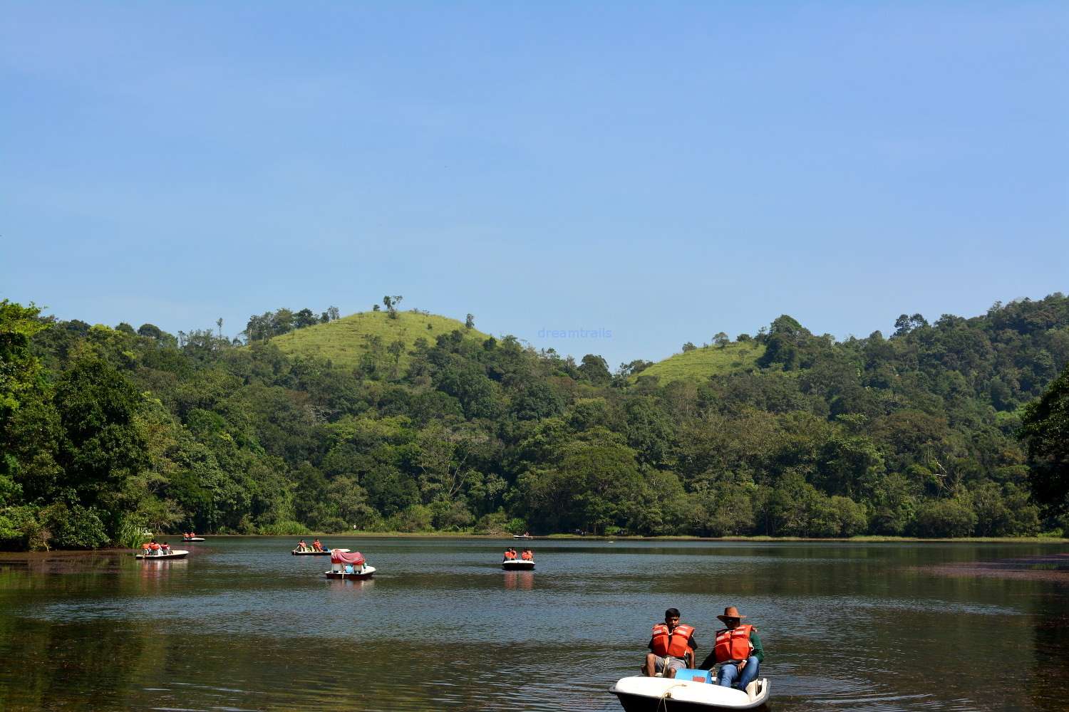Pookode Lake, Kalpetta