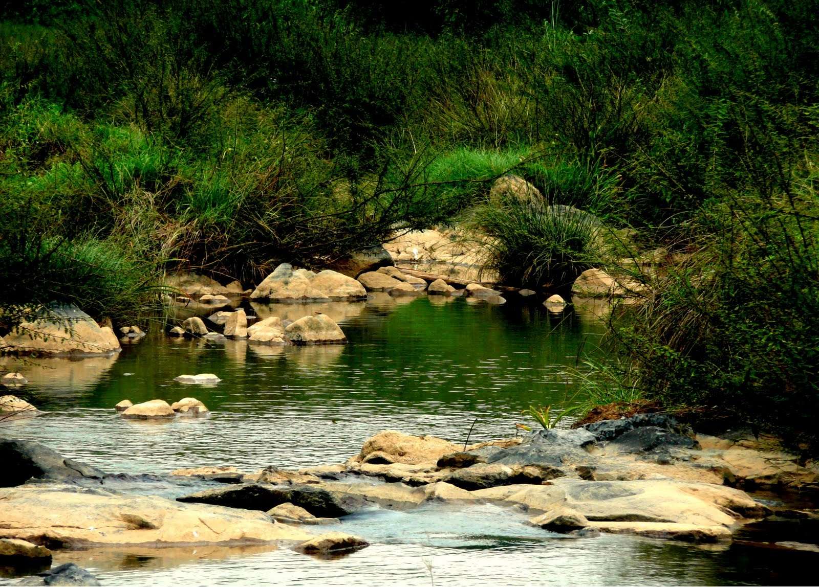 Travel Tips for Wayanad Trip from Bangalore