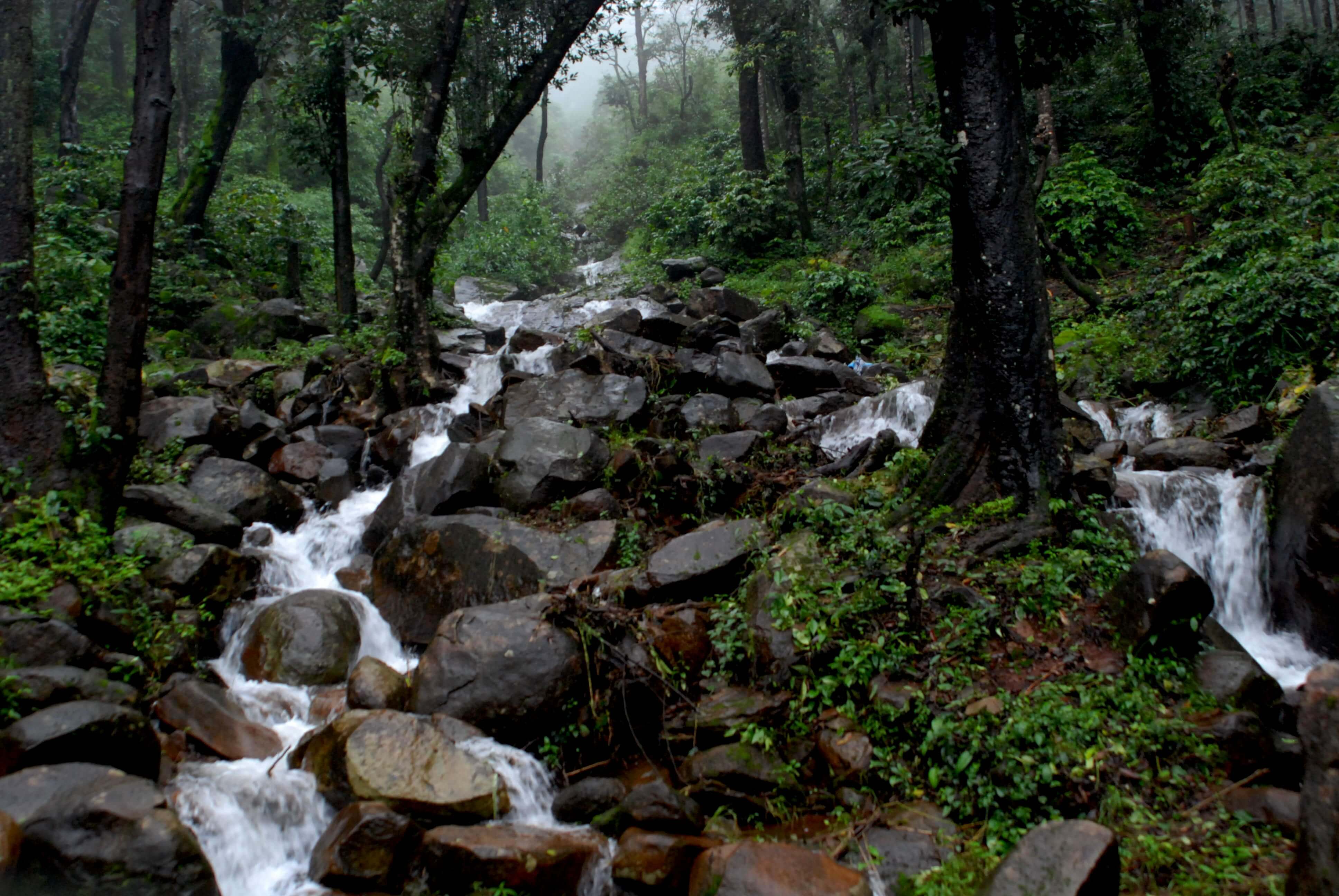 Best time to Visit Chikmagalur from Bangalore