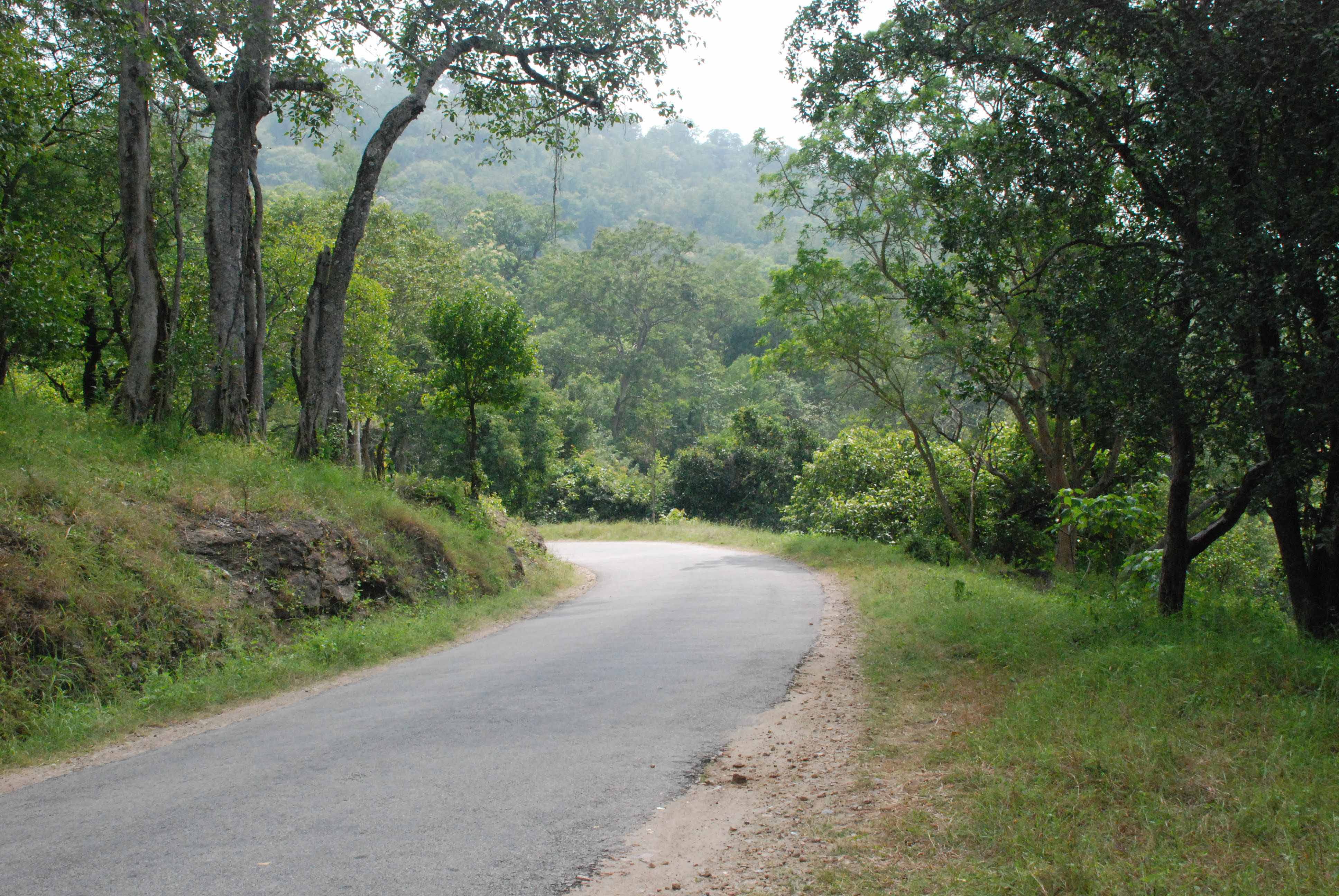 Bangalore to Munnar by Bus