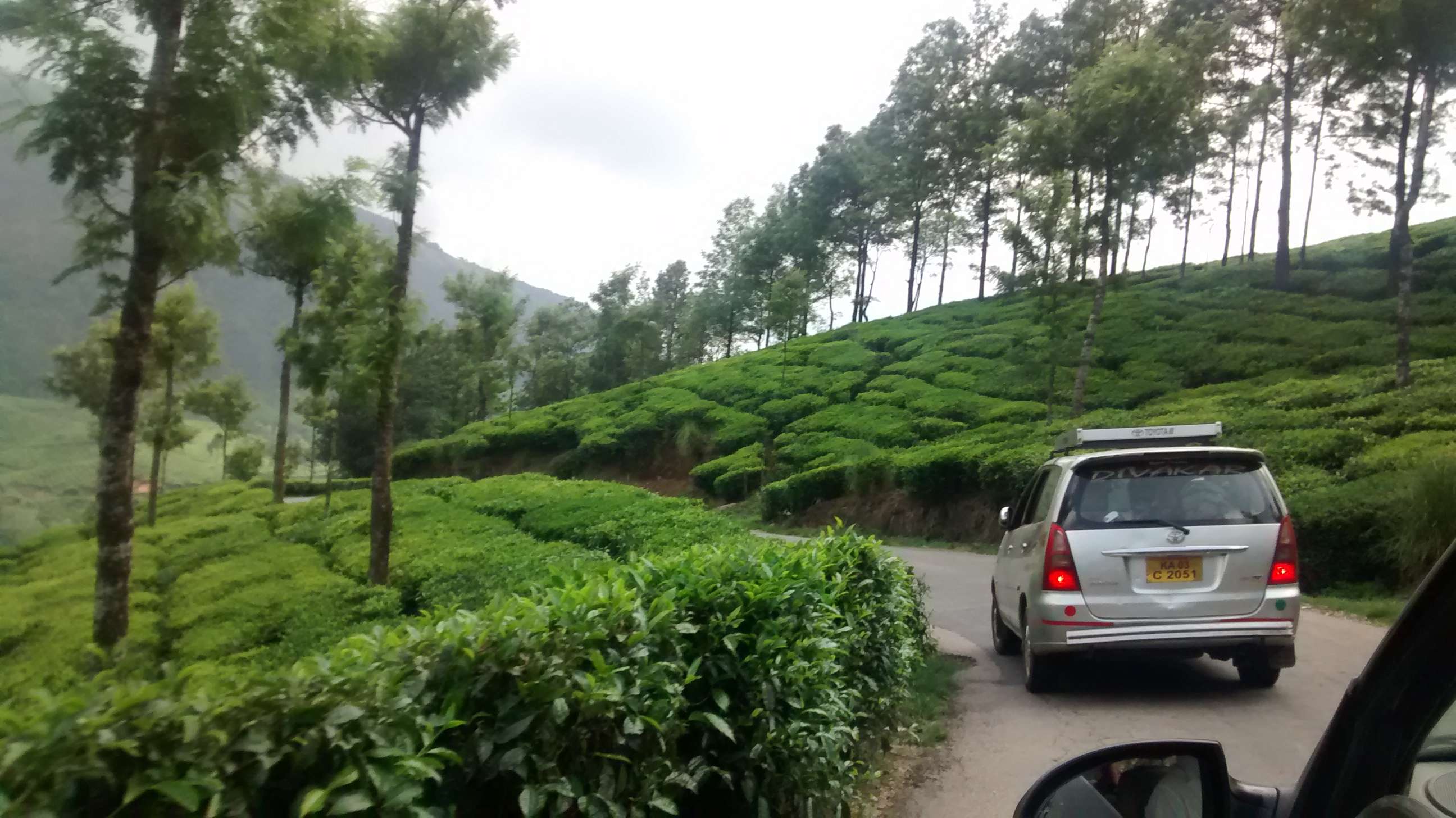 Drive to Munnar from Bangalore 