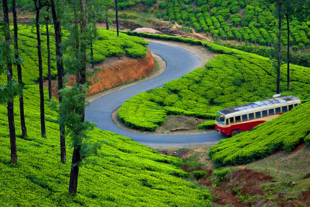 Travel Tips for Munnar Trip from Bangalore