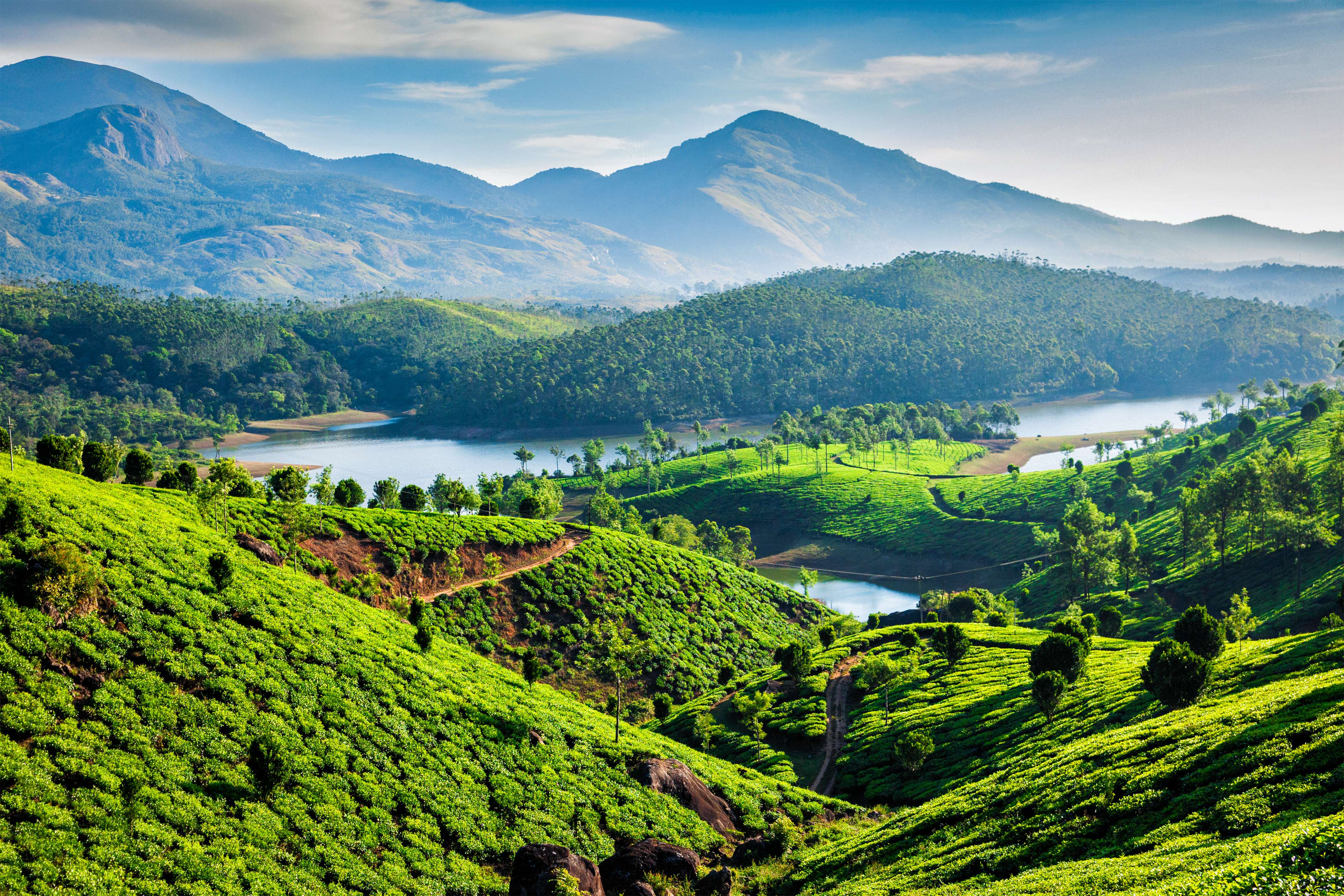 Bangalore to Munnar – A Detailed Travel Guide
