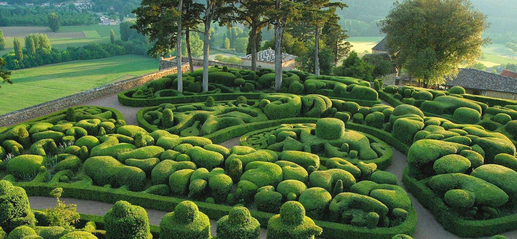 Feel the Lush Greenery - Pamplemousses Botanical Garden