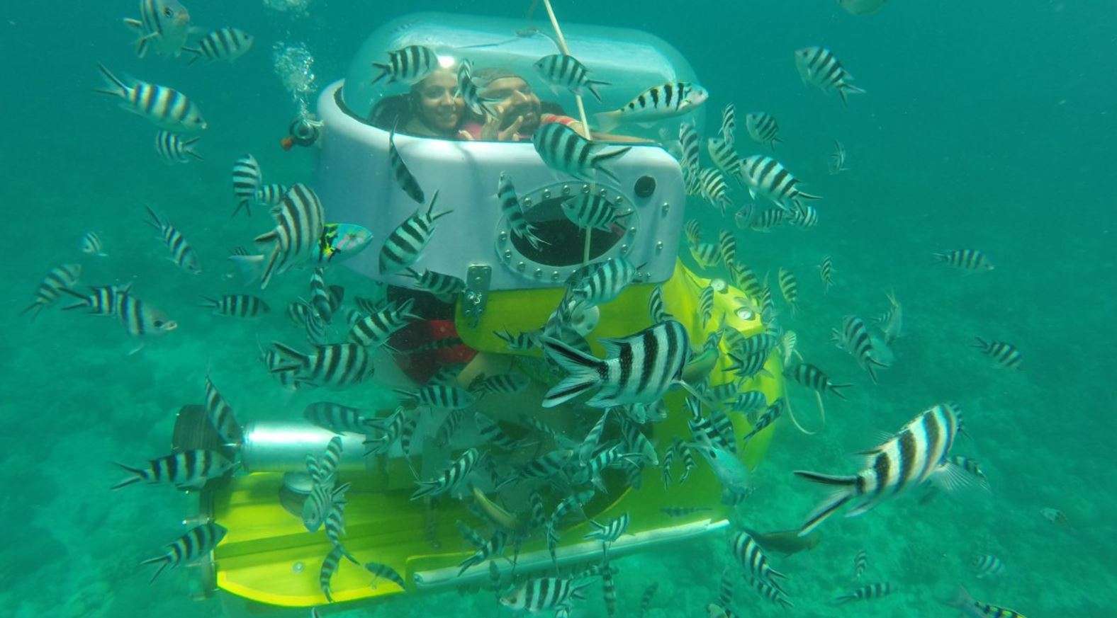 Blue Safari Subscooter