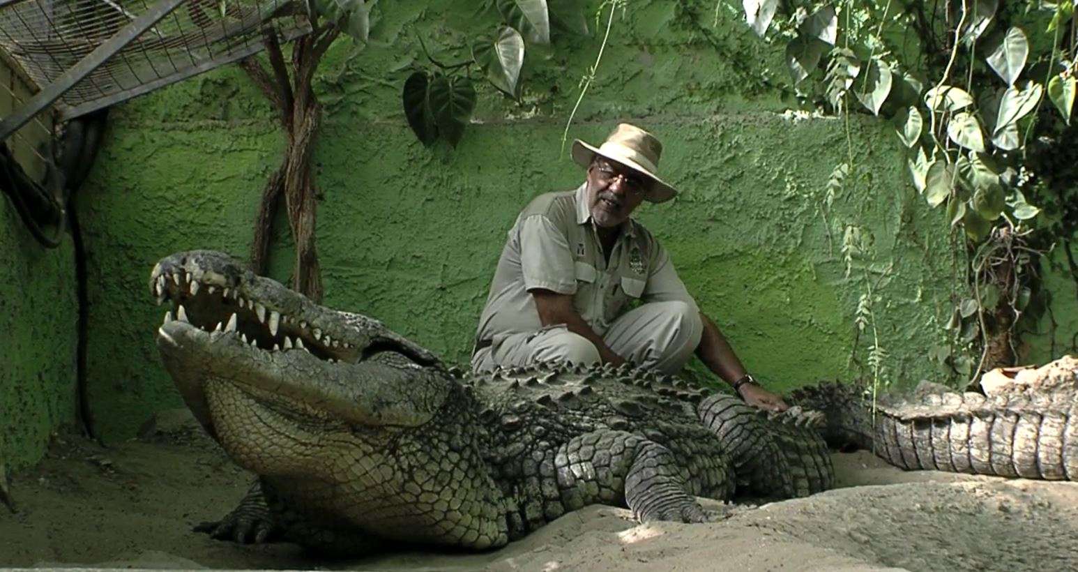 Obselora and Fauna At laVanille Crocodile Park