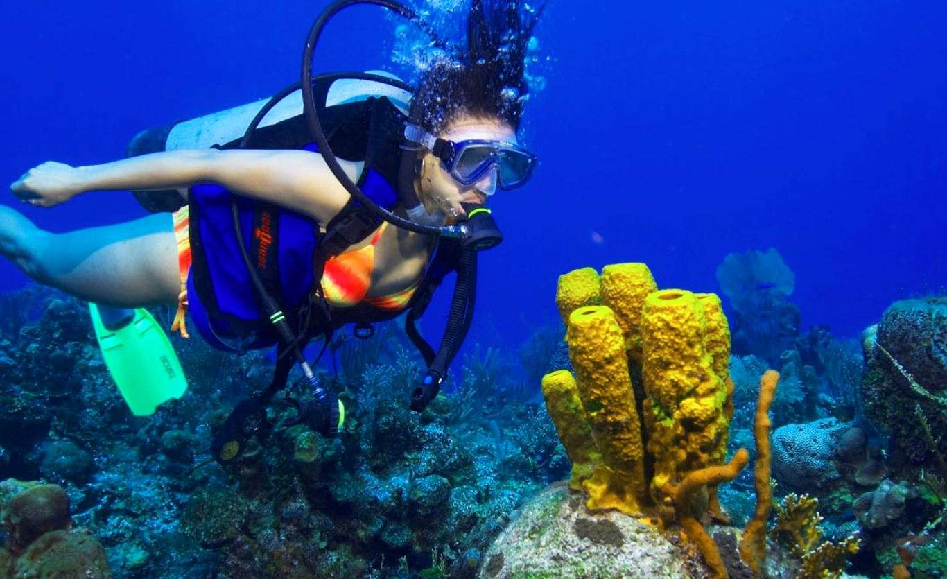Experience Scuba Diving In Mykonos