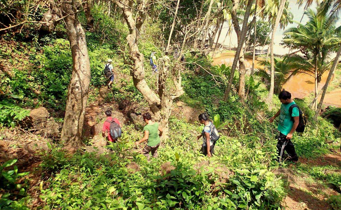 Trek to Todo Waterfall