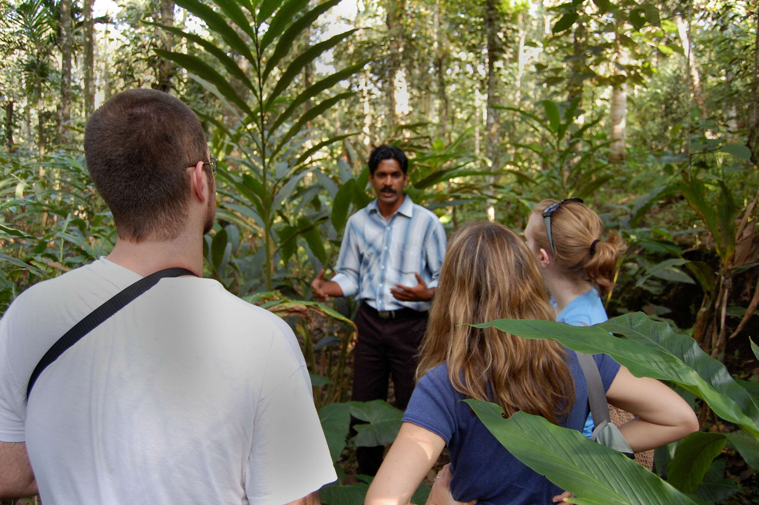 Visit Spice Plantation