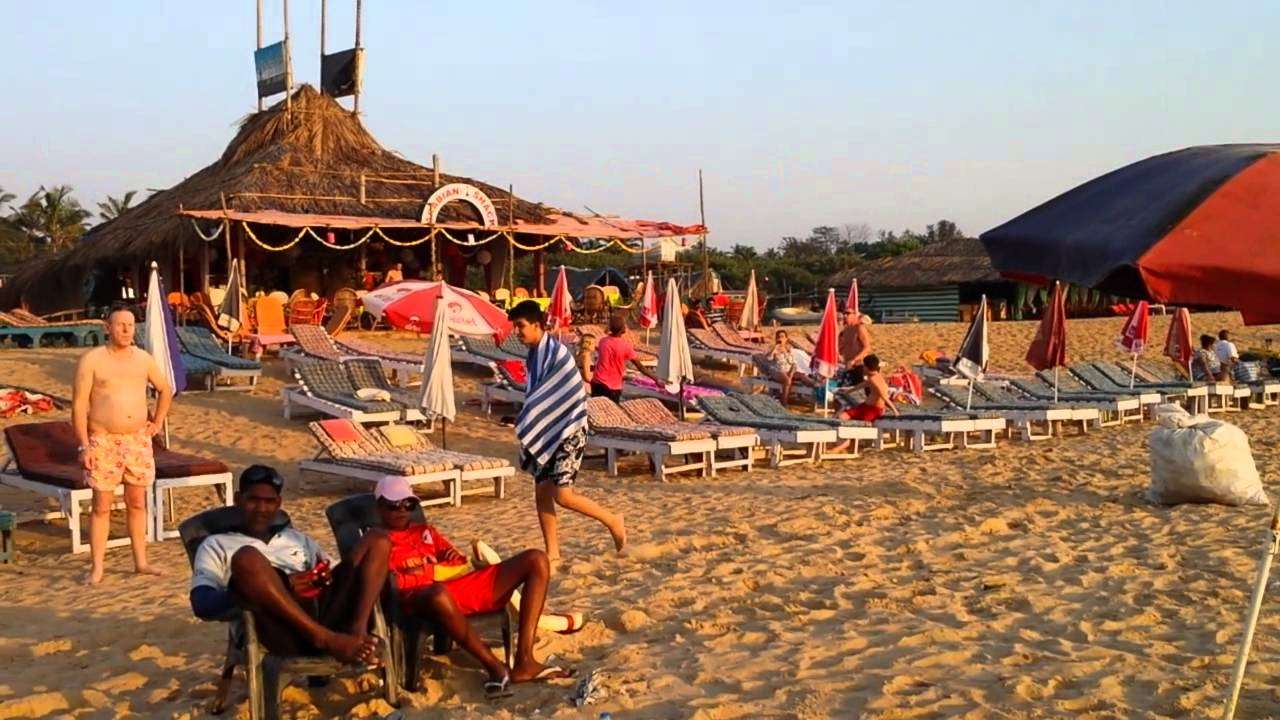  Calamari Beach Shack, Candolim
