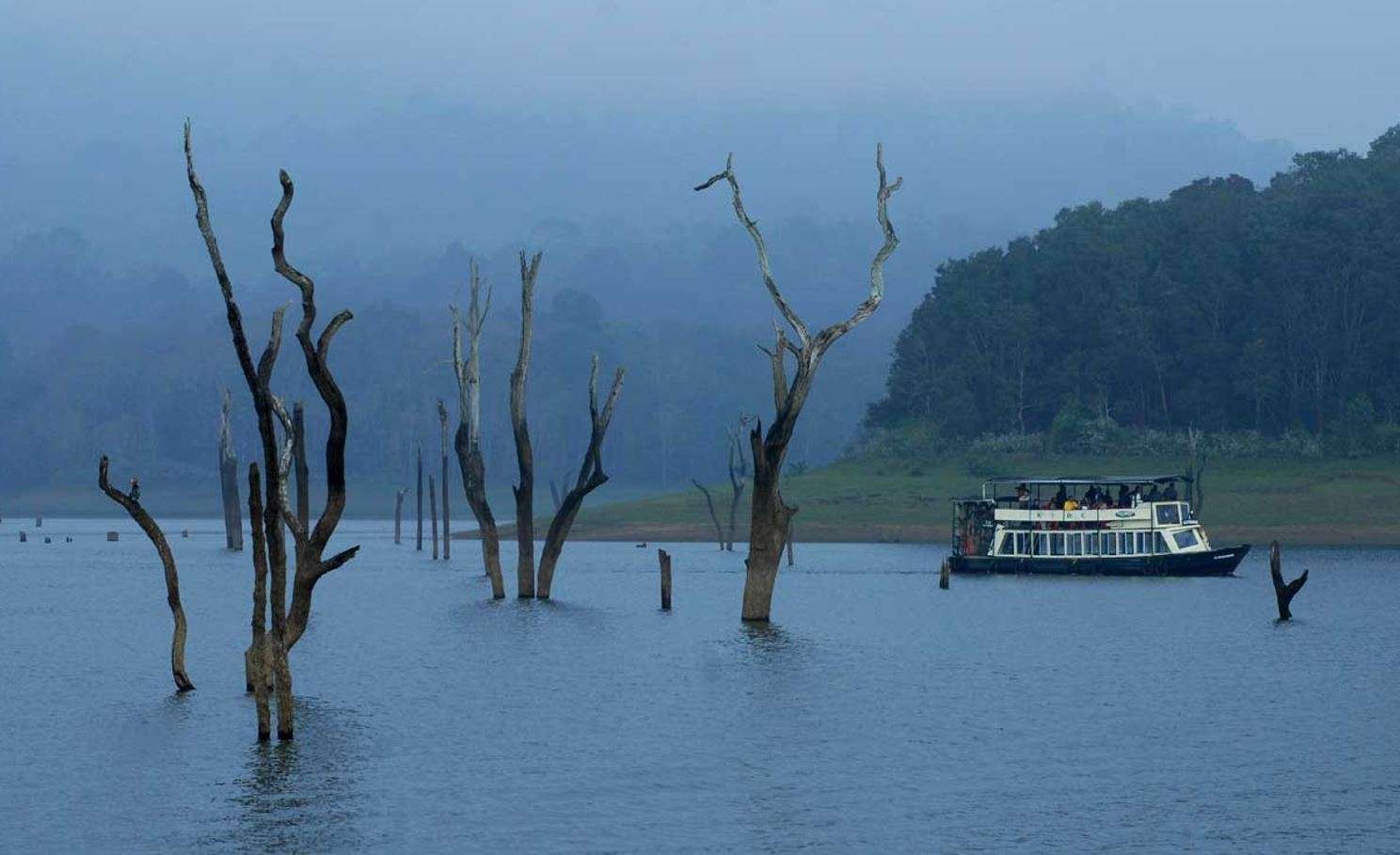 Thekkady (Scenic Beauty & Rich Biodiversity)