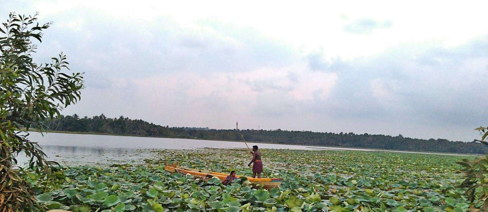 Vellayani Lake