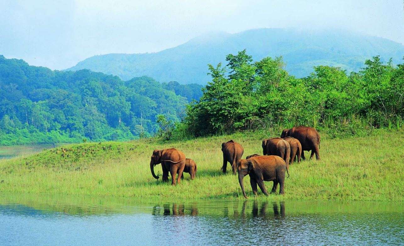 Periyar Wildlife Sanctuary