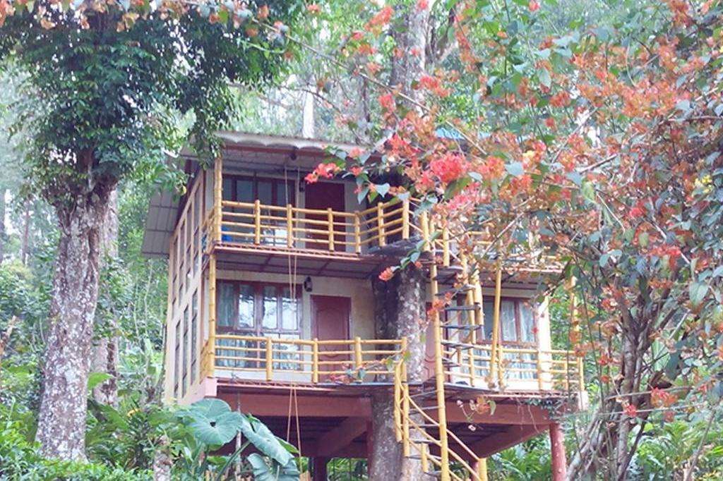 Jungle Jive Tree House