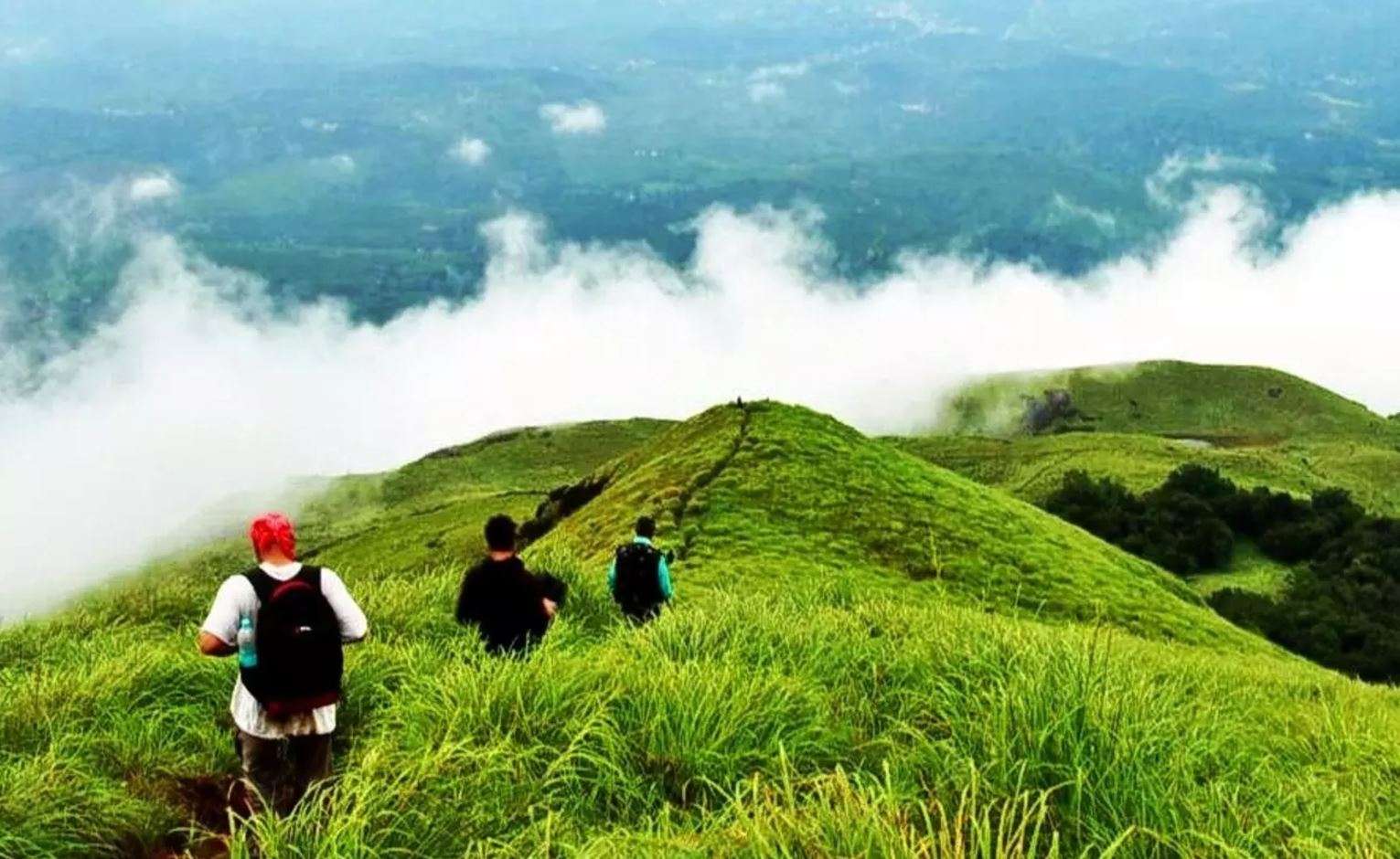 Go For A Trekking Trip In Thekkady