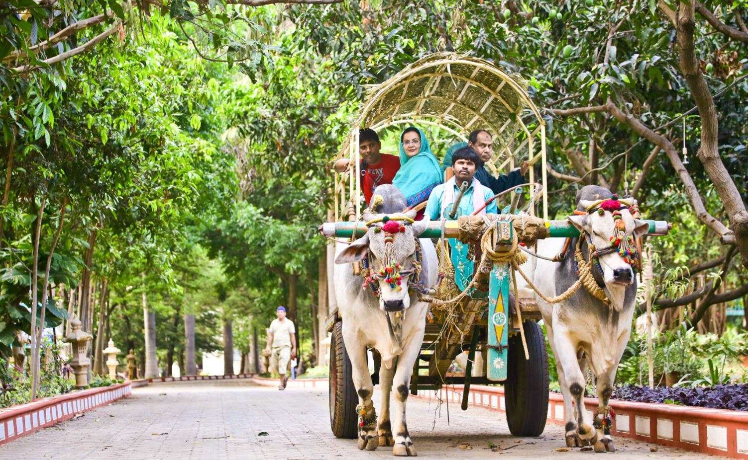 Take A Ride In A Bullock Cart