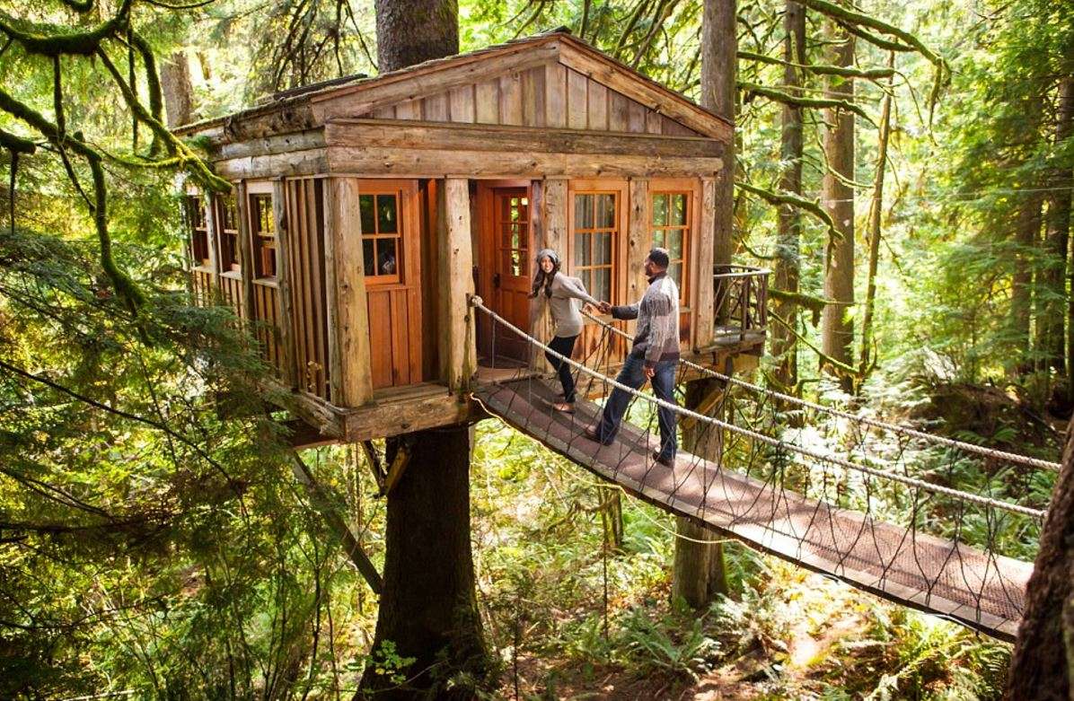 Spend A Night In A TreeHouse