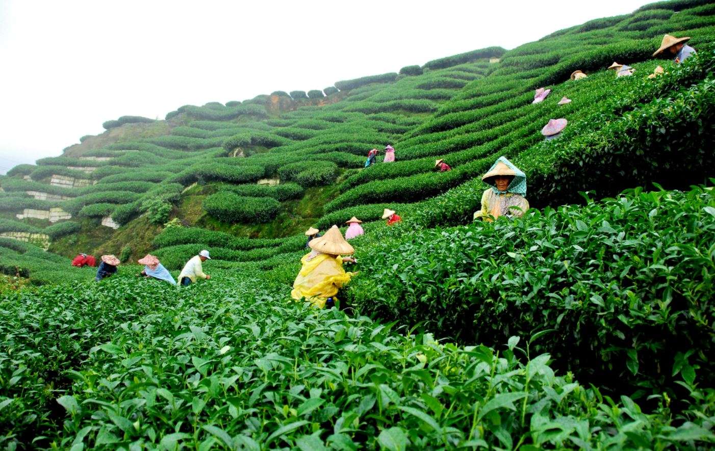 Meet The Solace At Chithirapuram