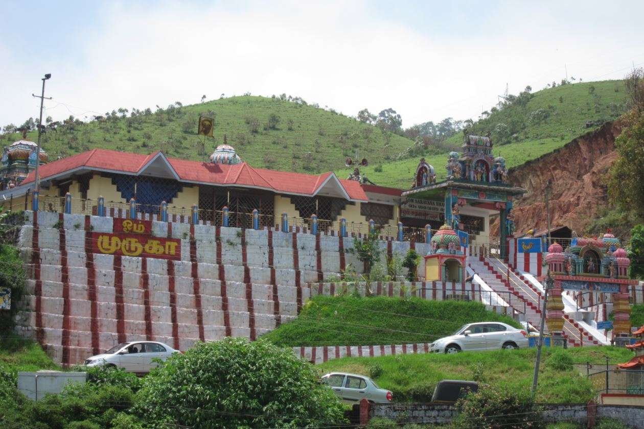 Taste The Authentic Keralite Cuisine At Saravana Bhavan