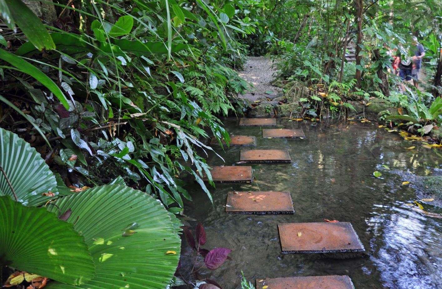 Abraham's Spice Garden, Thekkady