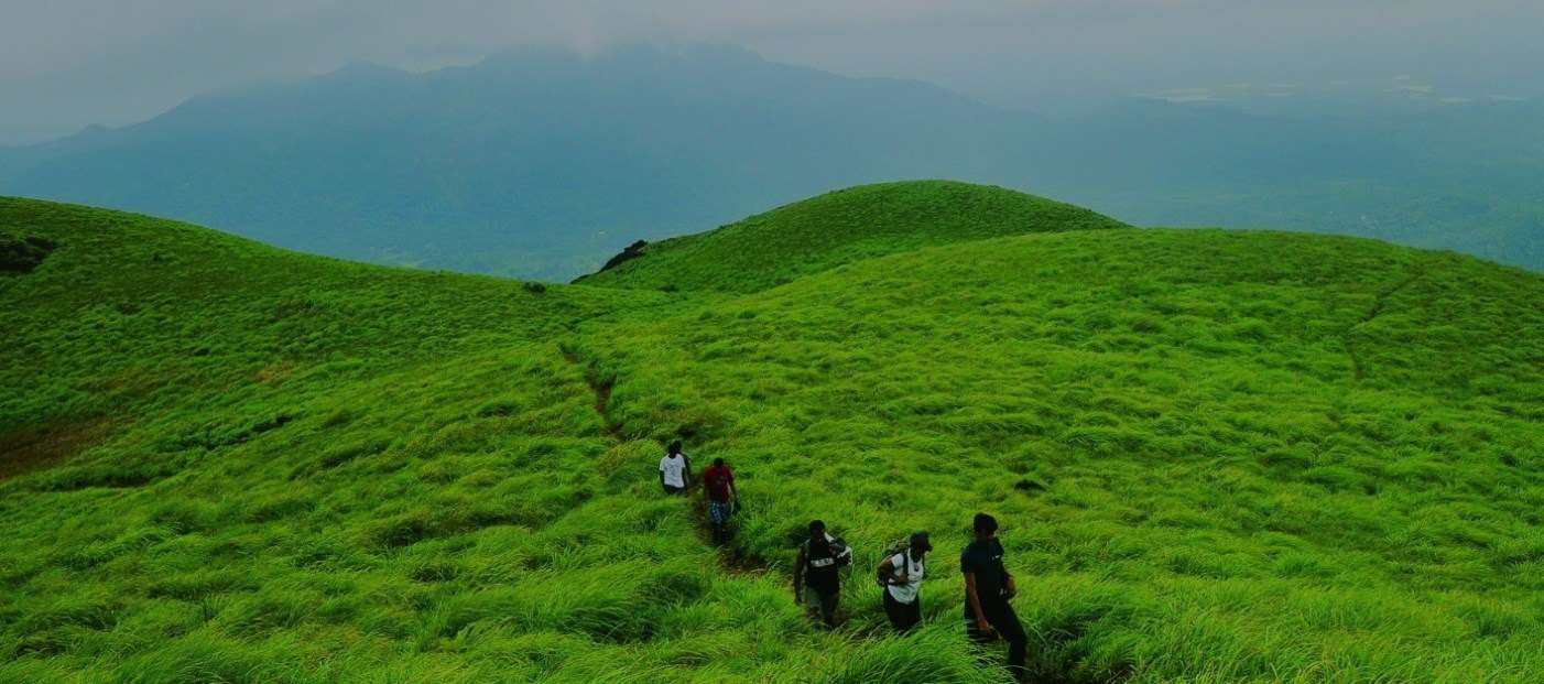 Honeymoon In Kerala Travel Guide