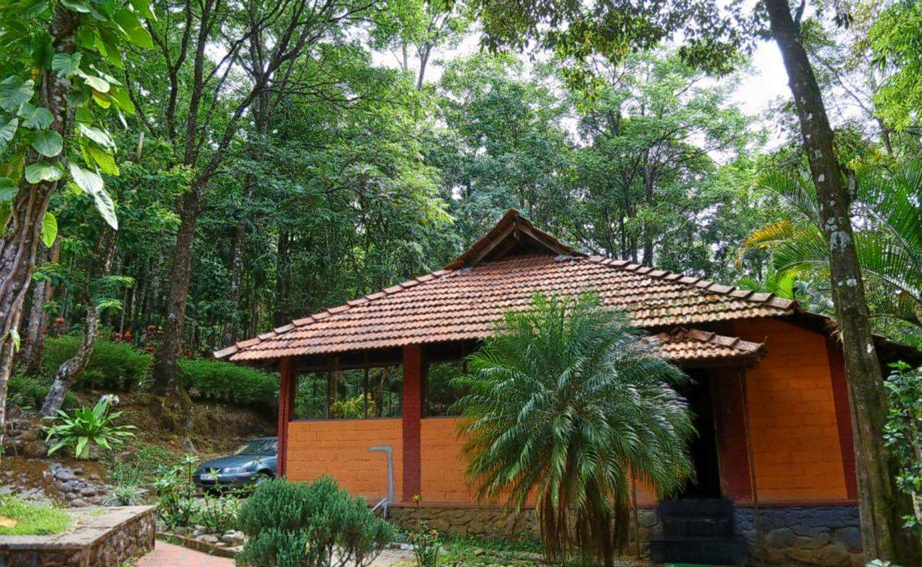 Blue Ginger Spa Resort