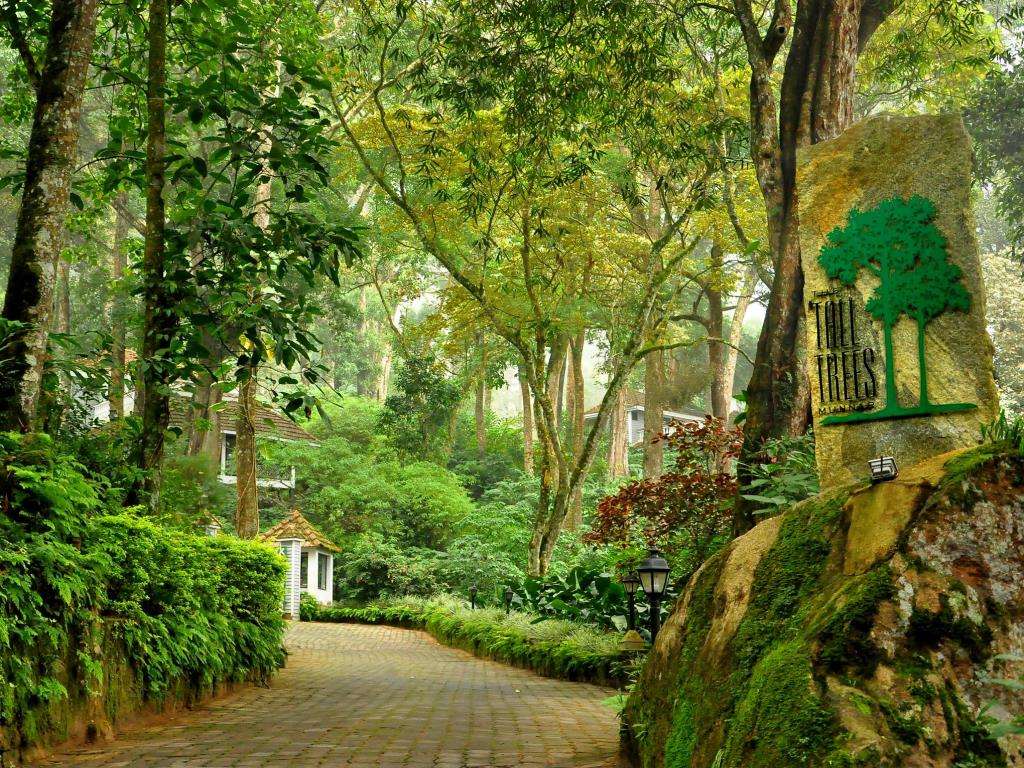 The Tall Trees Resorts 