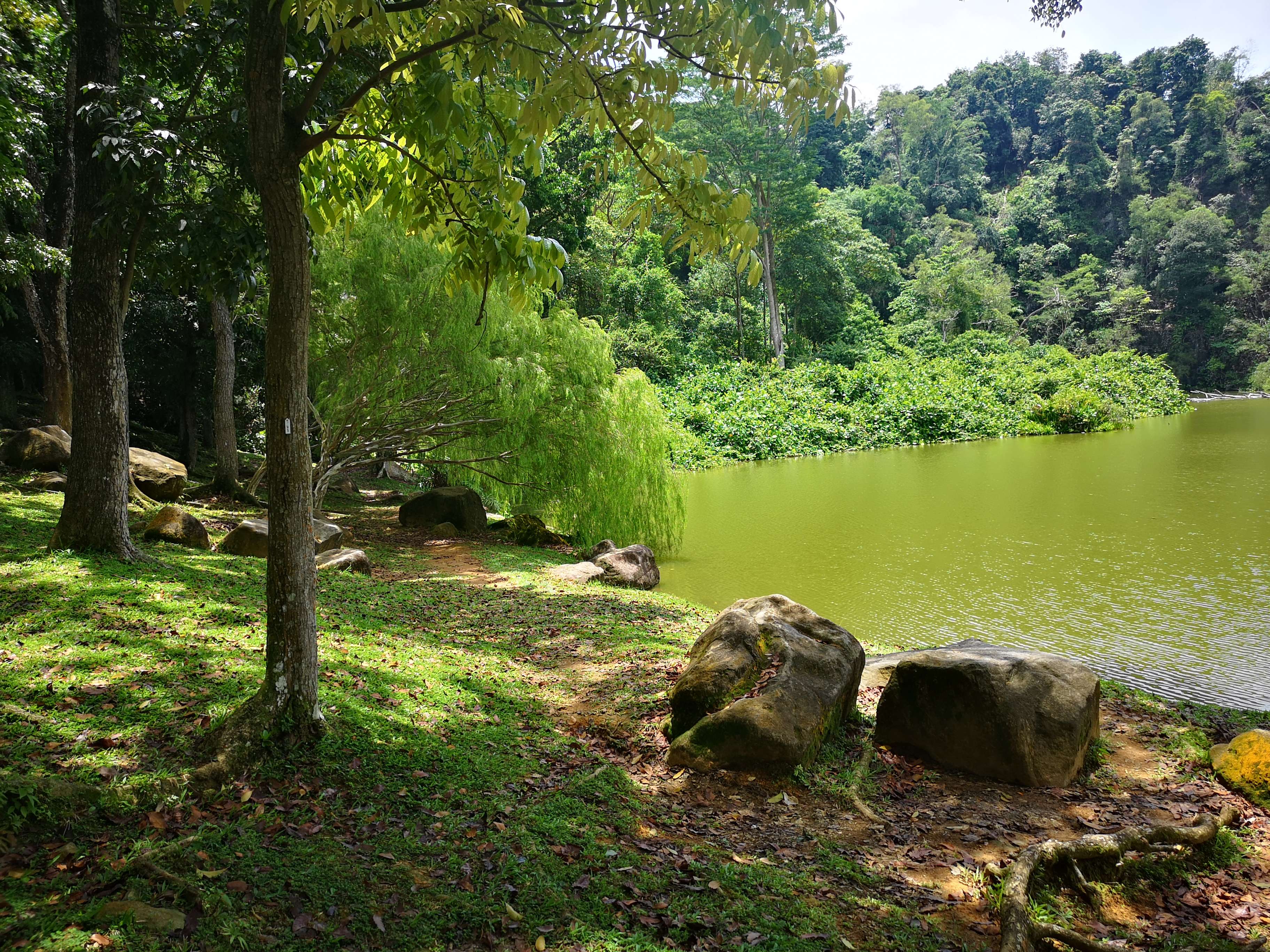 Bukit Batok Town Park