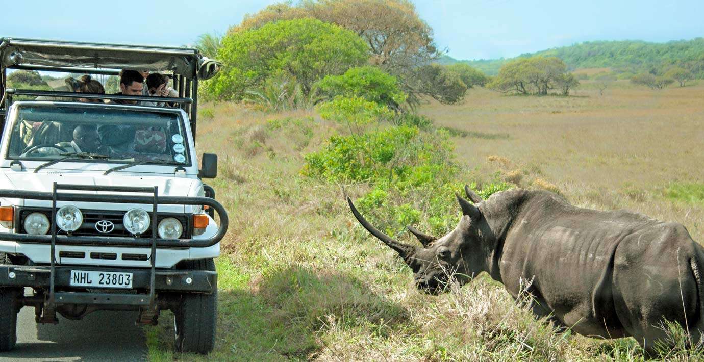 Safari In Hluhluwe And Umfolozi National Park