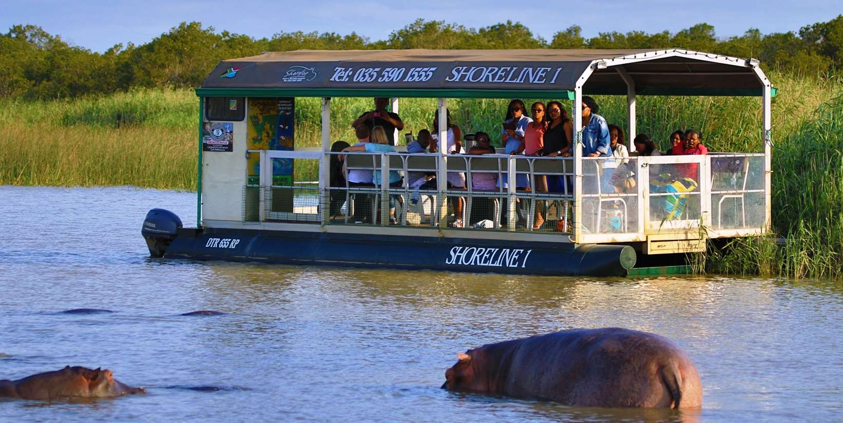 Experience River Hippo Safari In St. Lucia