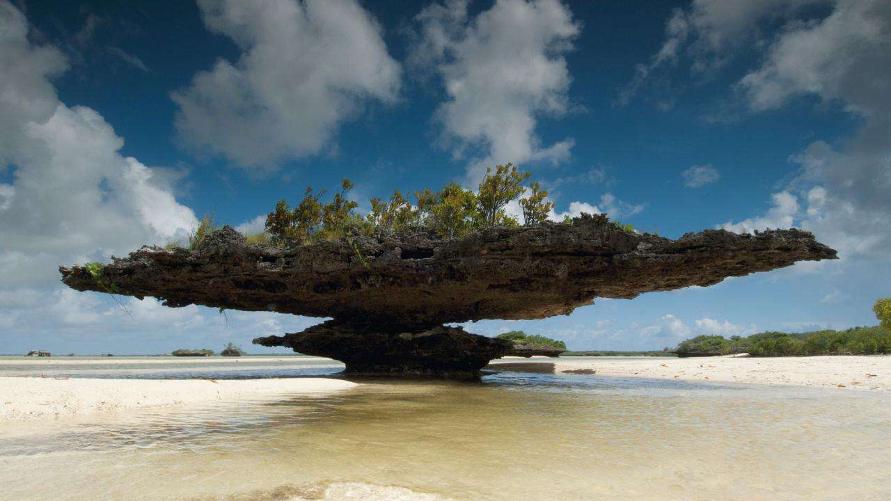 Aldabra Island