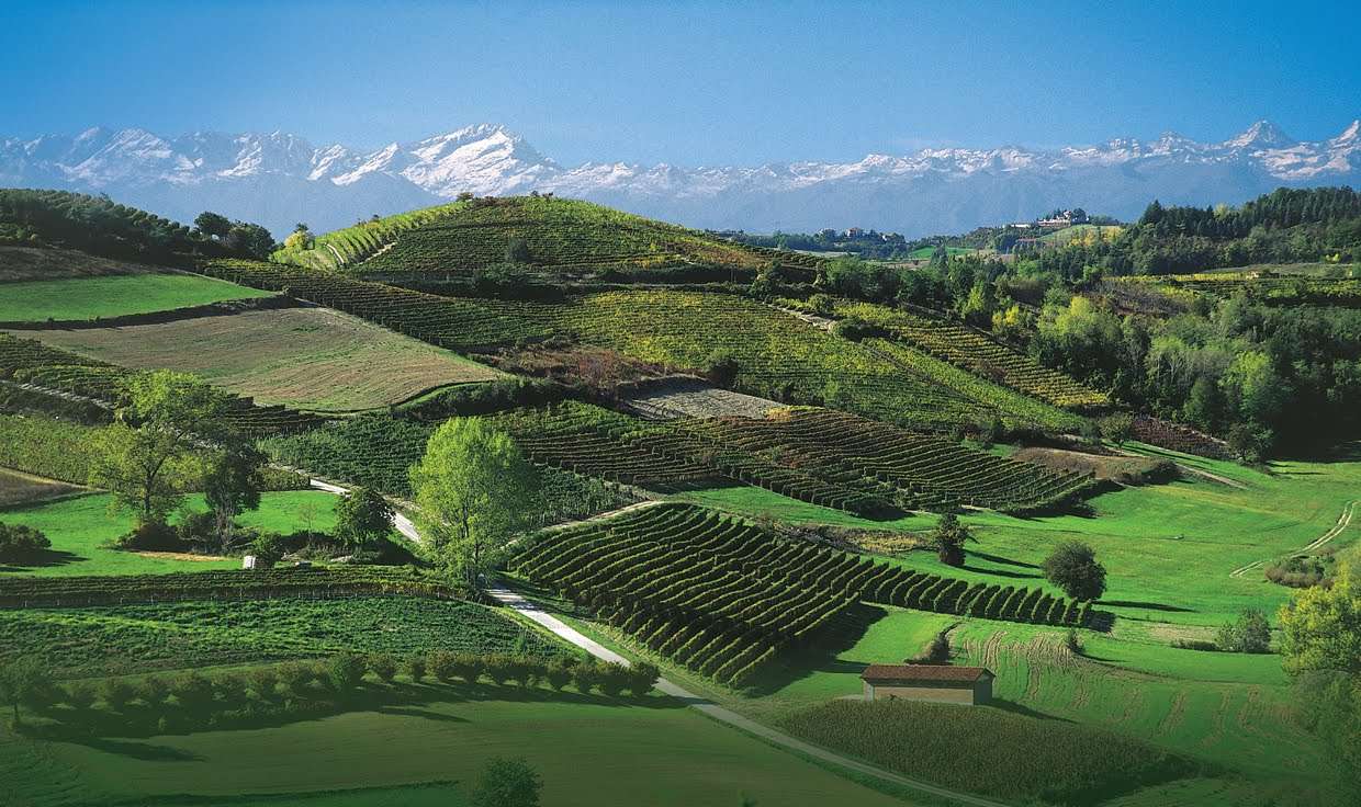 Piedmont Region