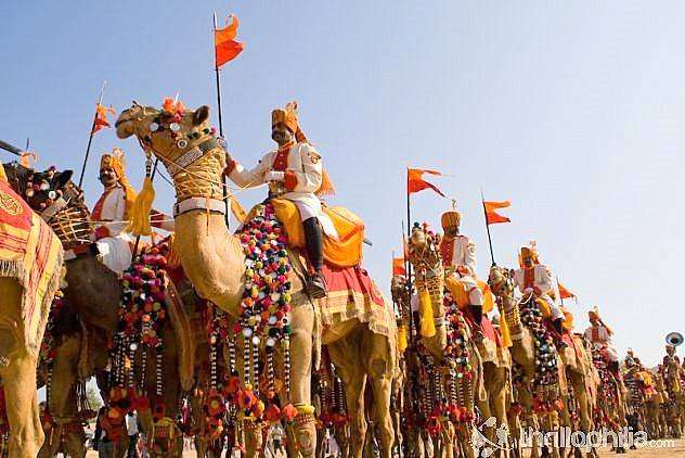 Camel Festival, Bikaner