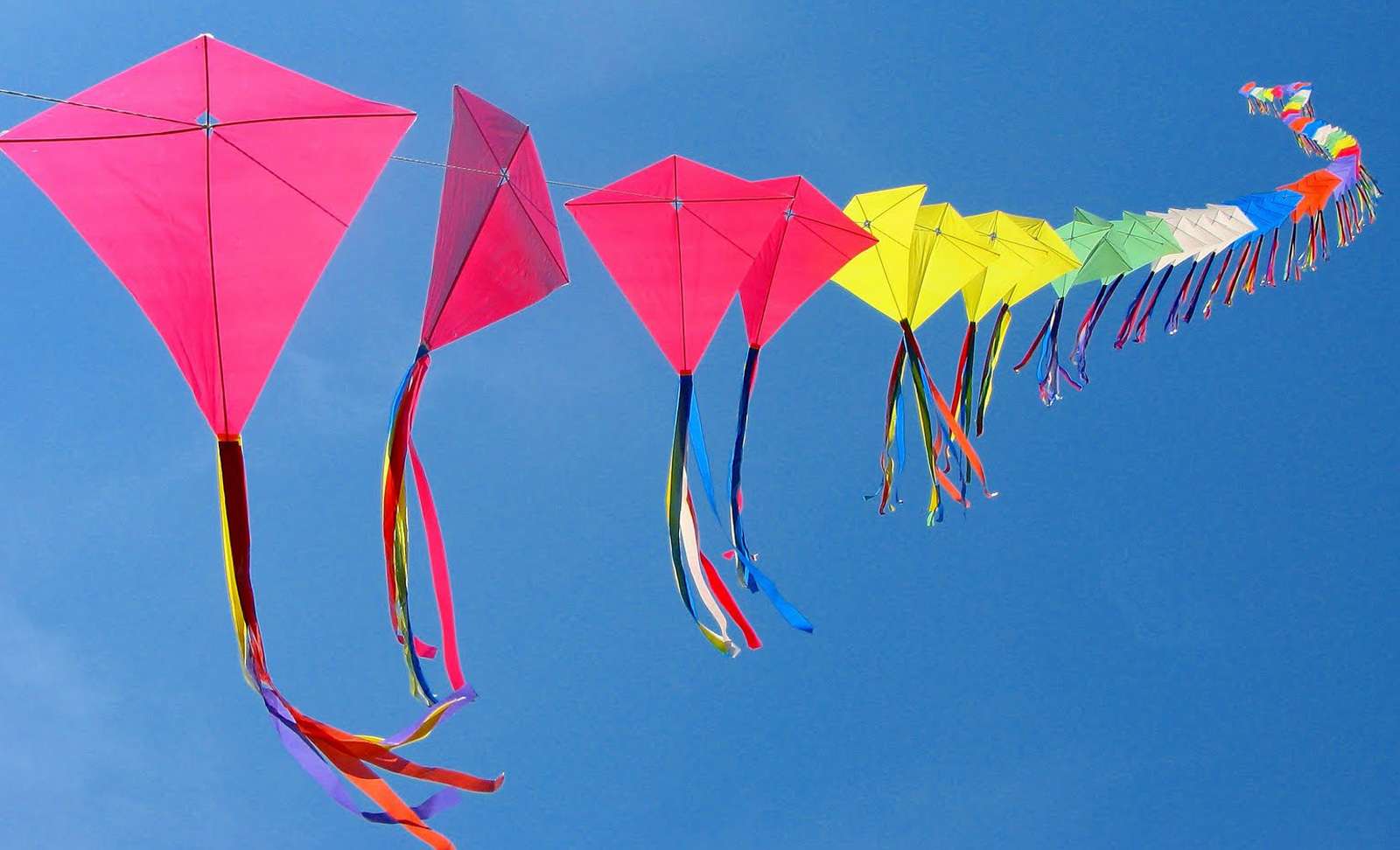 Kite Festival, Jaipur